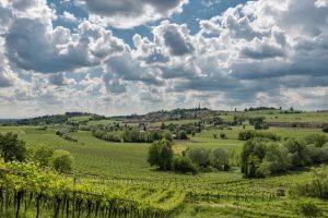 terre del custoza - Sommacampagna