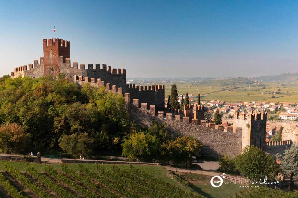 soave