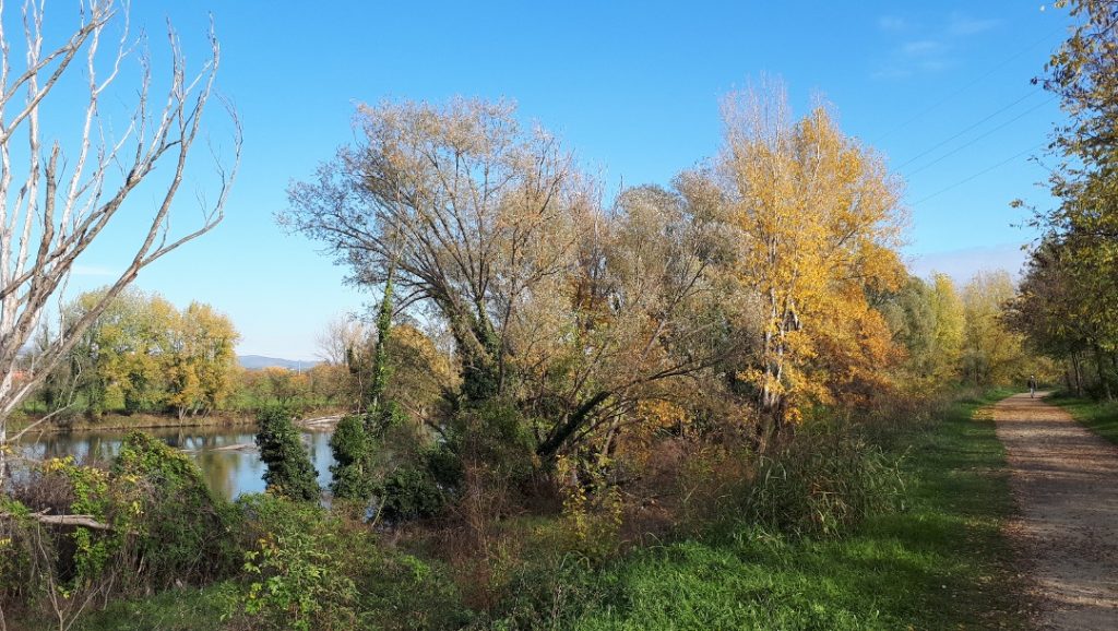 walks with strollers on Lake Garda