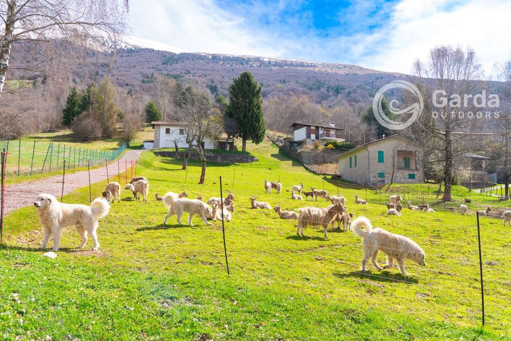 san zeno di montagna