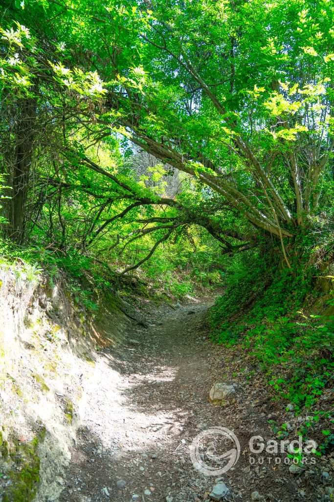 trekking lake garda italy