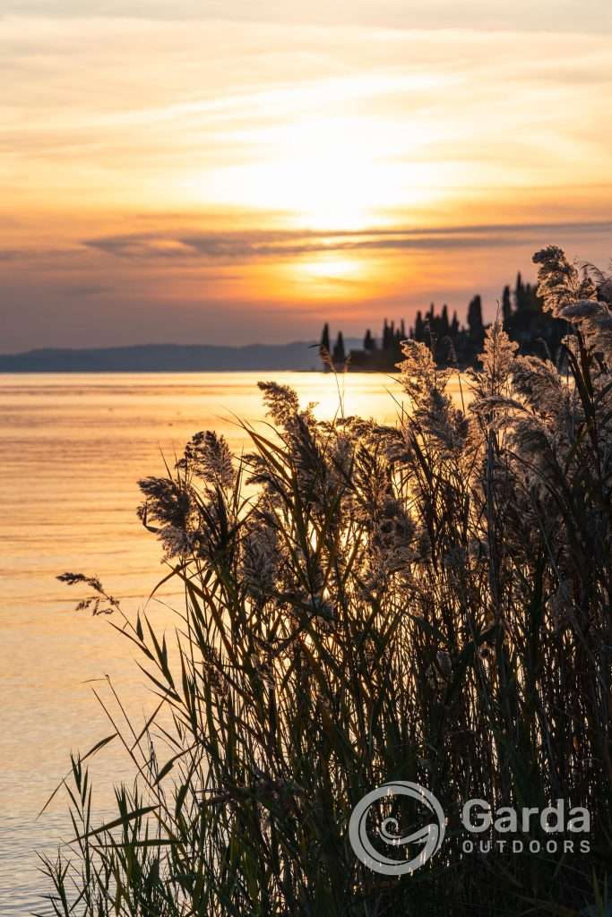 Garda on lake garda