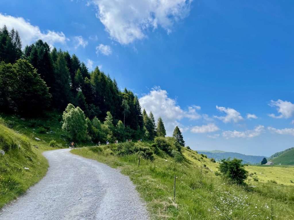 walks with strollers on Lake Garda