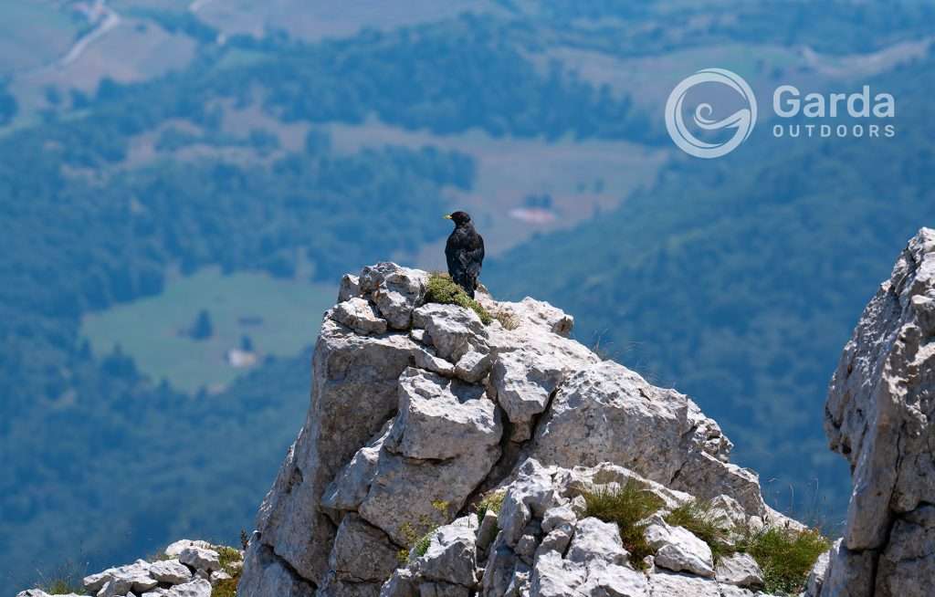 trekking to telegrafo refuge