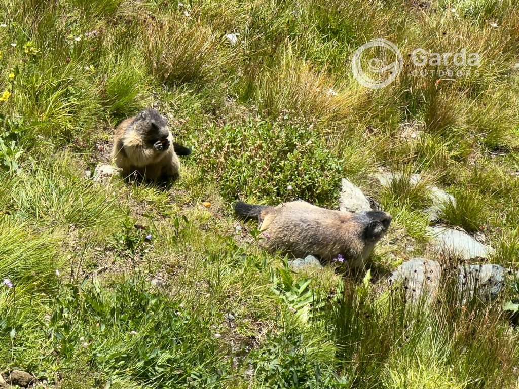 trekking to telegrafo refuge