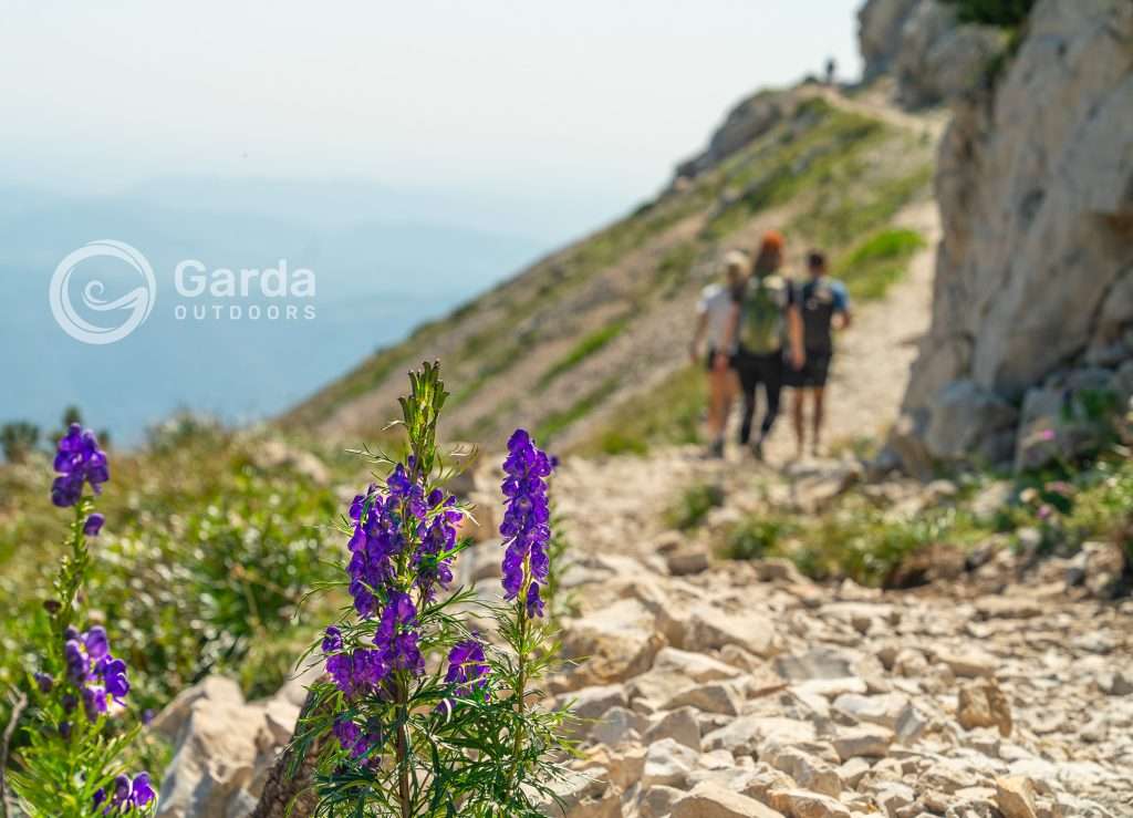 trekking to telegrafo refuge